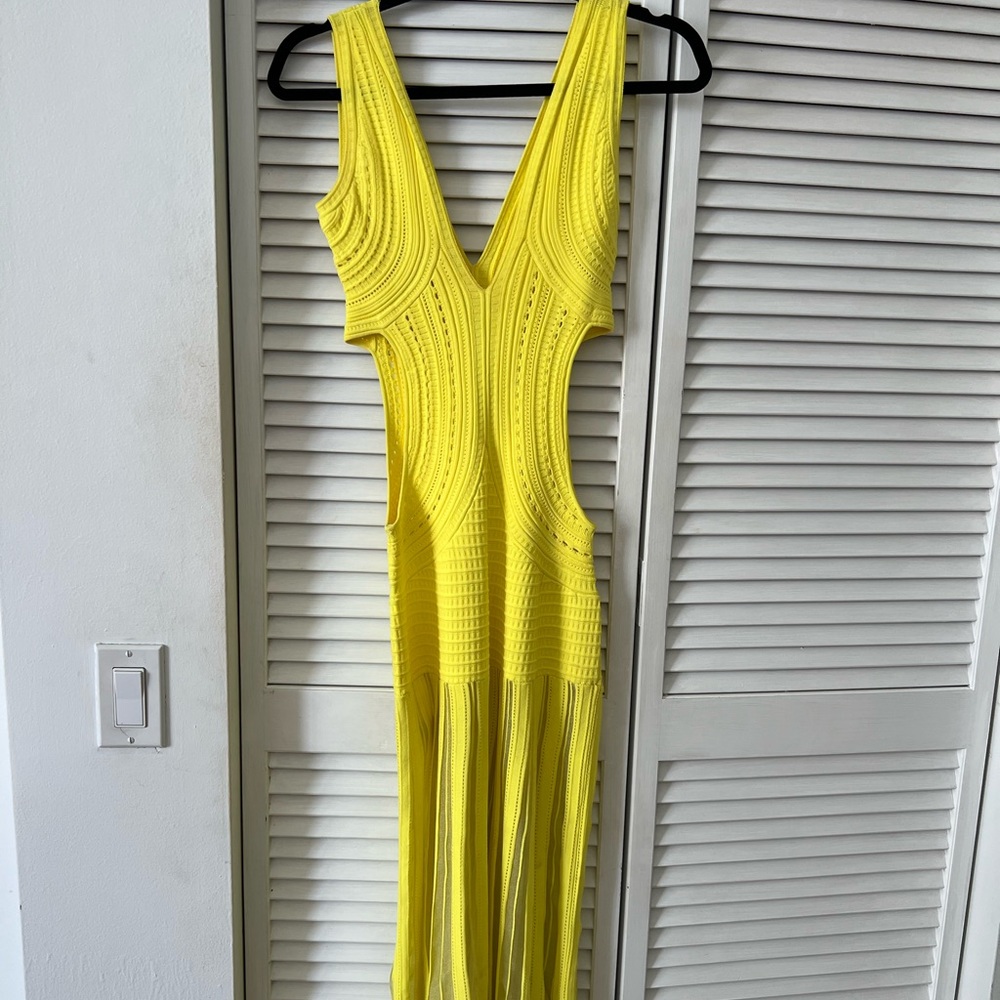 Ronny Kobo Dress - Picture 5 of 8